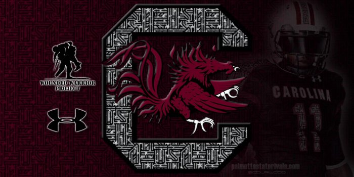 1600x1000 Best 41+ South Carolina Gamecocks Wallpaper on HipWallpaper