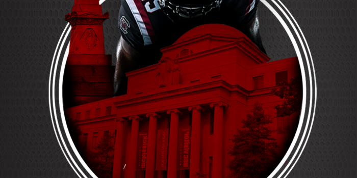 1080x1920 Gamecock Wallpaper on Behance