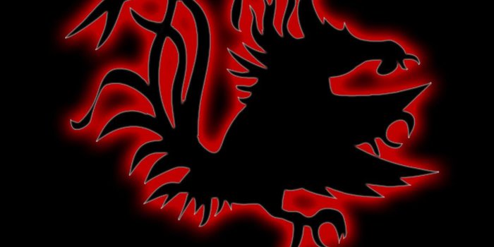 1152x864 Wallpapers College Wrestling Gamecock 1152x864 | #70959 #college