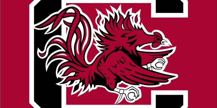 1024x851 Usc Gamecocks Logo wallpaper by gogamecocks - 6b - Free on ZEDGE™