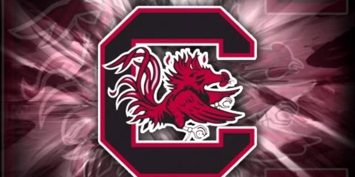 1440x1080 Free Gamecock Wallpapers posted by Ryan Simpson