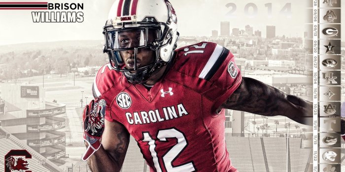 1920x1080 Gamecocks Wallpaper ·① WallpaperTag