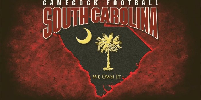 1600x905 Free Gamecock Wallpapers posted by Ryan Simpson