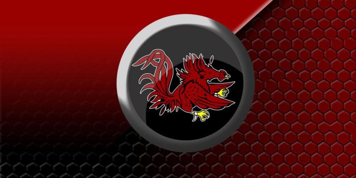 1024x768 FIFA WORLD CUP 2018: GAMECOCK FOOTBALL BACKGROUND