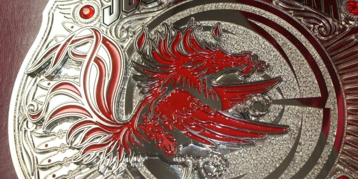 1680x1050 SOUTH CAROLINA GAMECOCKS College Football Wallpapers Desktop