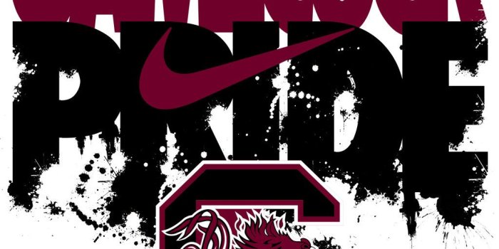 1024x1024 Gamecocks Wallpapers Group (57+)