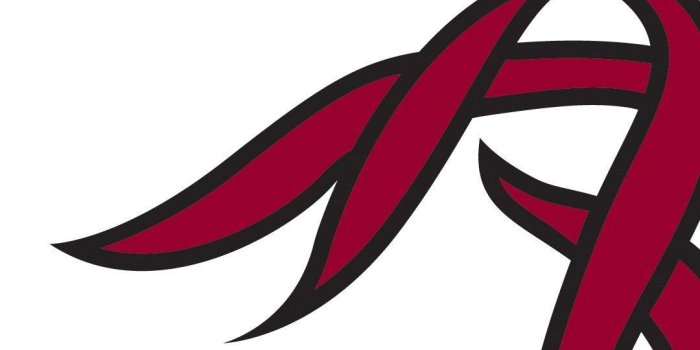 1080x1920 UofSC Wallpapers for Smartphones : Gamecocks