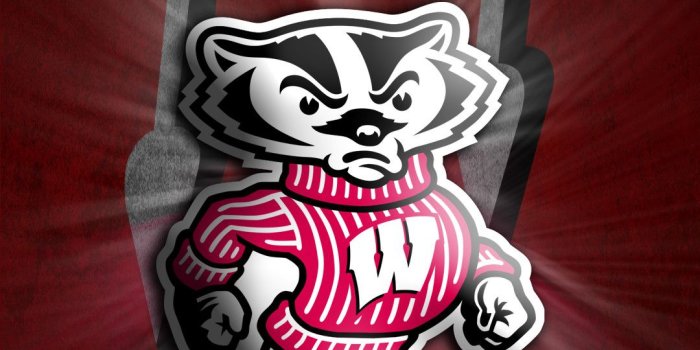 1080x1920 35+ Wisconsin Badger Wallpaper Screensavers