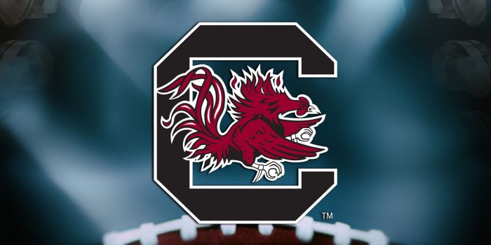 1920x1080 Gamecocks announce 2020 football schedule | WJBF