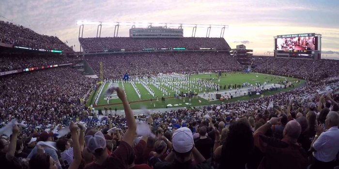 1920x1080 Gamecock Wallpaper (64+ pictures)