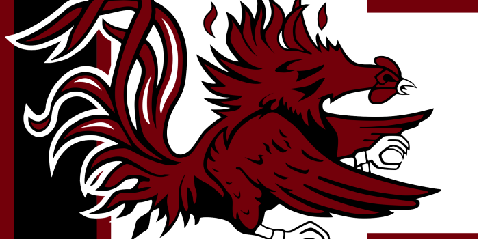 1994x1368 Download Free png WRHI | South Carolina Gamecocks - DLPNG.com