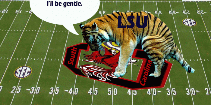 1280x900 Gamecocks Wallpapers Group (52+)