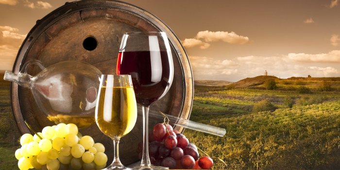 1920x1200 Free download red and white wine with barrel on vineyard Desktop