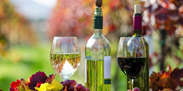 1332x850 Wallpaper autumn, leaves, wine, red, white, glasses, grapes