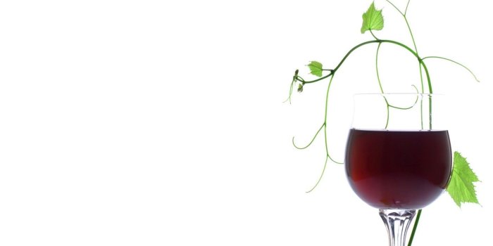 1680x1050 Red Wine With Green Leaves And White Backgrounds Wallpapers