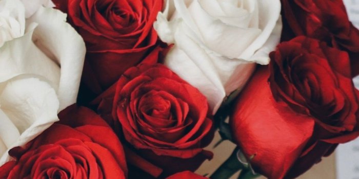 1080x1920 Red and white roses, bouquet, wine 1080x1920 iPhone 8/7/6/6S Plus