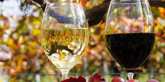2560x1600 Download wallpapers white wine, red wine, wine, grapes for desktop