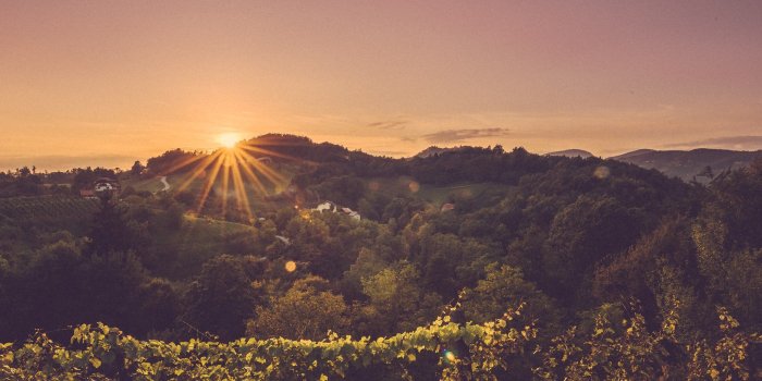 2730x2048 wine red wine white wine and slovenium hd wallpaper and background