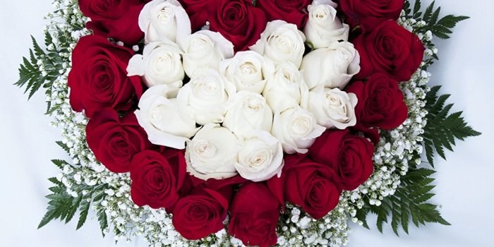 1127x1024 Wallpaper Valentine's Day Heart Roses White Wine color Flowers