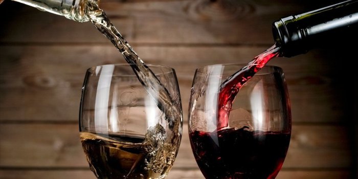 1024x768 Red Wine or White Wine: That is the Question | Papi Wines