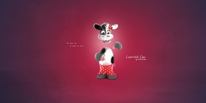 1920x1080 Love sick Cow 1920 X 1080 HDTV 1080p Wallpapers Wallpapers Gallery