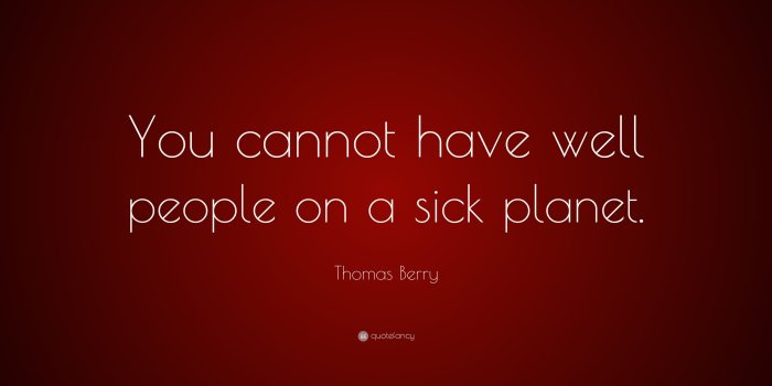 3840x2160 Thomas Berry Quote: “You cannot have well people on a sick planet