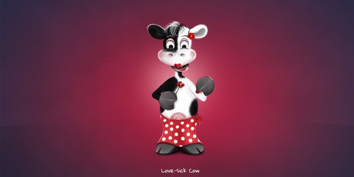 1920x1080 Love-sick Cow - Wallpaper Gallery