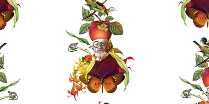 1400x974 Science Is For Everyone: The New Wallpaper Collection with Orbeh