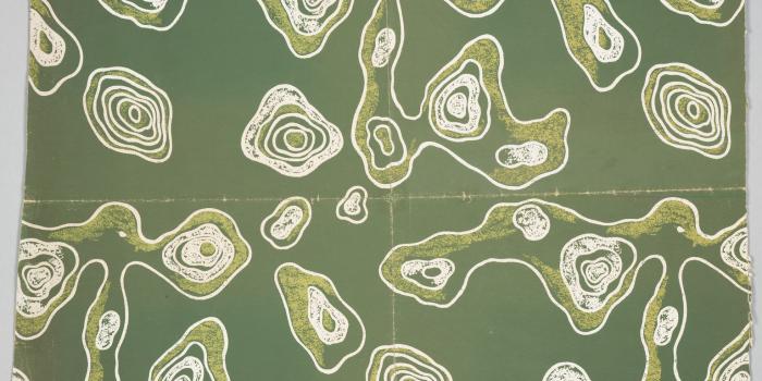 1536x1232 Beauty in Ingenuity: The Art of Science | The New York Review of