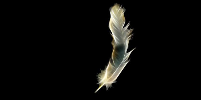 1080x1920 Black White Abstract Feather Android Wallpaper free download