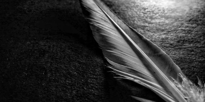 4160x2977 Free stock photo of black and white, black background, black wallpaper