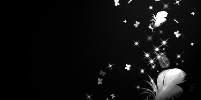 1024x768 Free download Best 52 Feather Black Background on HipWallpaper