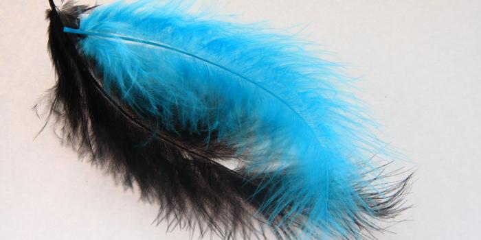 3888x2592 2 Blue And Black Feathers Preview - Feather, Hd Wallpapers