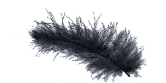 3475x2118 Single black feather HD wallpaper | Wallpaper Flare