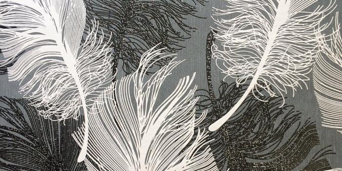 1000x1000 Feather Wallpapers - Top Free Feather Backgrounds - WallpaperAccess