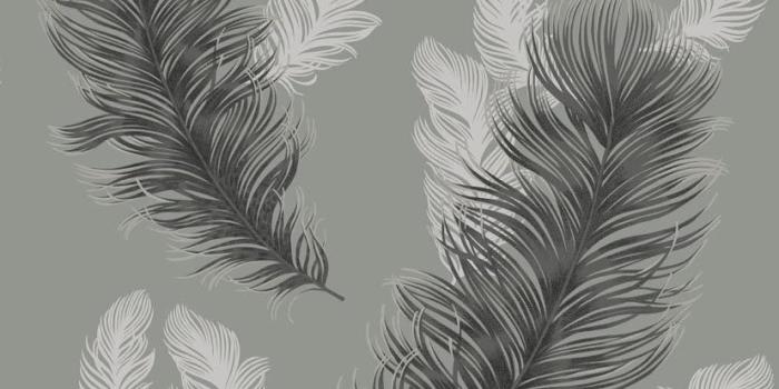828x1000 Amazon.com: Arthouse, Sirius Gunmetal Gray Feather Wallpaper