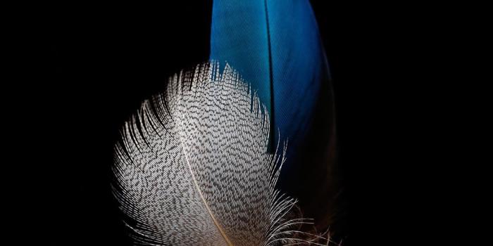 1080x1920 Black Amoled Wallpaper HD - 210