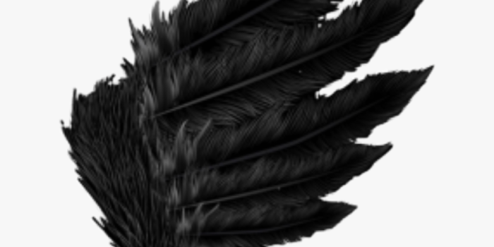 860x962 wing Black Feather Fallen Angel Dark Outfit Cool Amazing