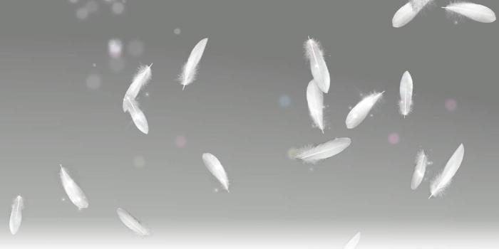 1638x900 Beautiful-Desktop-Background-of-White-Feathers-Wallpapers