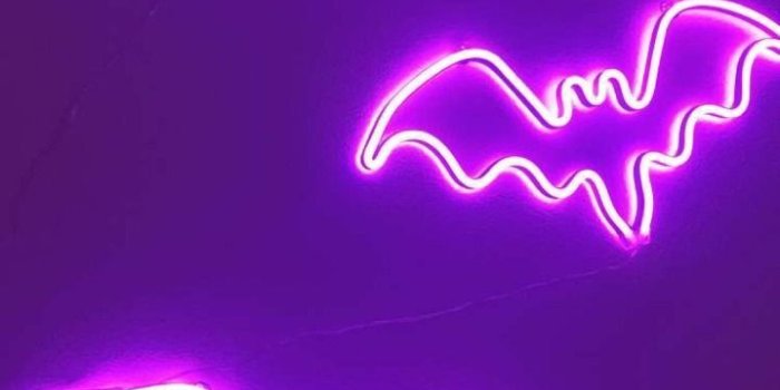 719x1280 Halloween wallpaper image by Adelina Molina on Neon crazy in 2020