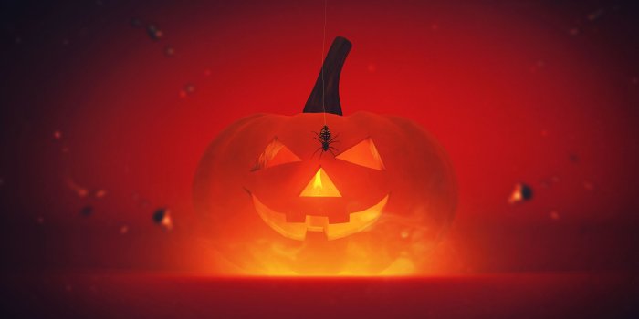 2560x1440 Wallpaper Halloween Pumpkin, Spider, HD, Celebrations / Halloween