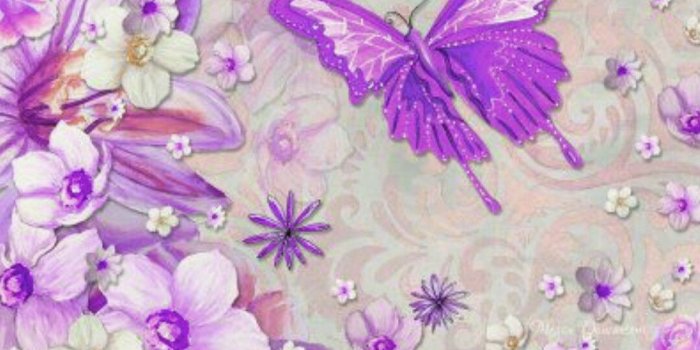 1080x1920 Purple flowers and butterflies | Butterfly wallpaper, Butterfly