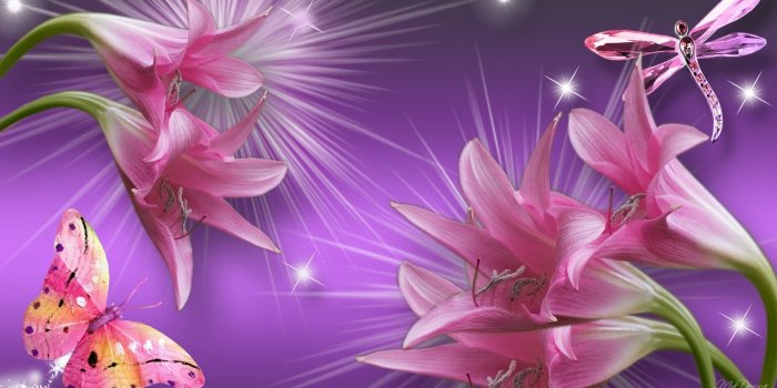 1920x1080 Lilies, Butterfly, and Dragonfly HD Wallpaper | Background Image