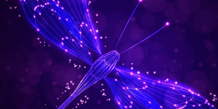 726x1280 Purple Dragonfly Wallpapers - Top Free Purple Dragonfly