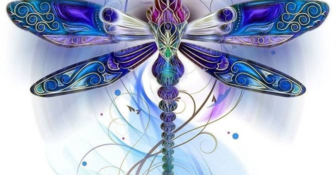 672x1280 Dragonfly wallpaper by prankman93 - b6 - Free on ZEDGE™