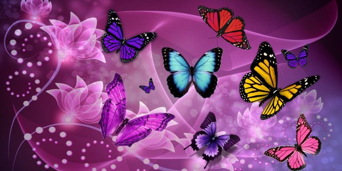 1600x900 Free download Fantasy art Page 37 Butterflies Galleries [1600x900