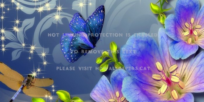 1680x1080 fragrance butterfly designs dragonflies art