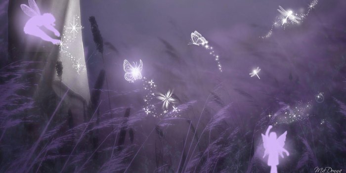 1920x1080 Dragonflies Wallpapers
