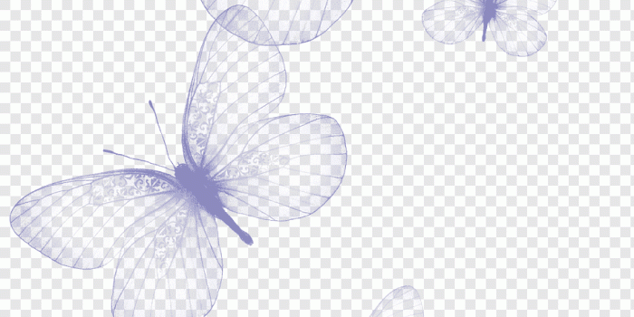 920x1331 Butterfly, Butterfly, butterflies on blue background, purple
