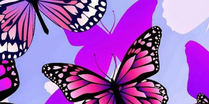 736x1309 Dragonfly Art In 2019 - Butterfly Backgrounds For Iphone (#479144